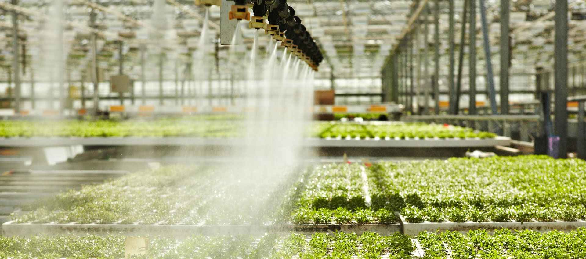 Riego agrícola
